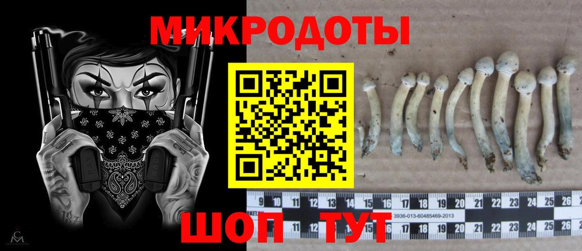 Галлюциногенные грибы GOLDEN TEACHER Баксан