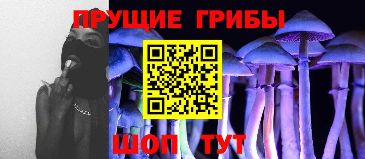 Баксан  Псилоцибиновые грибы мухоморы  Вход с VPN  Галлюциногенные грибы прущие грибы 